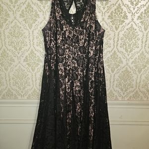 18w Lane Bryant black and tan